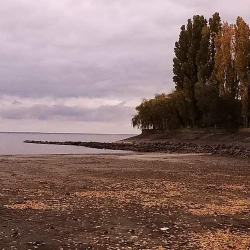 Photo #6743327