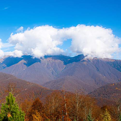 Photo #6743352