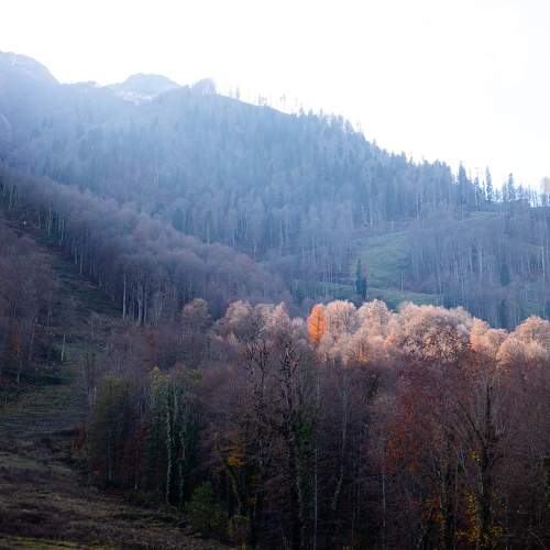 Photo #6743353