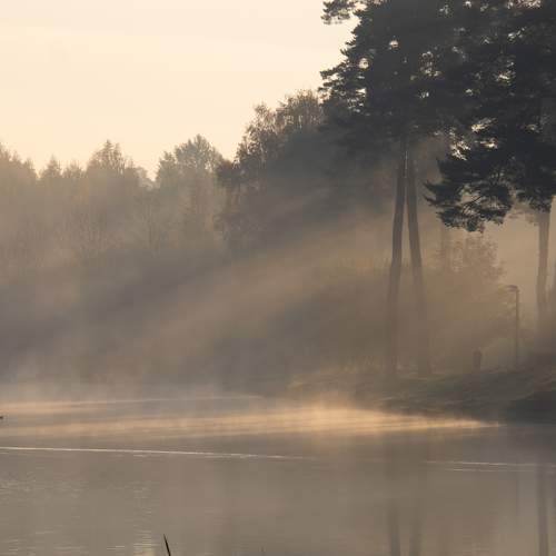 Photo #6743667