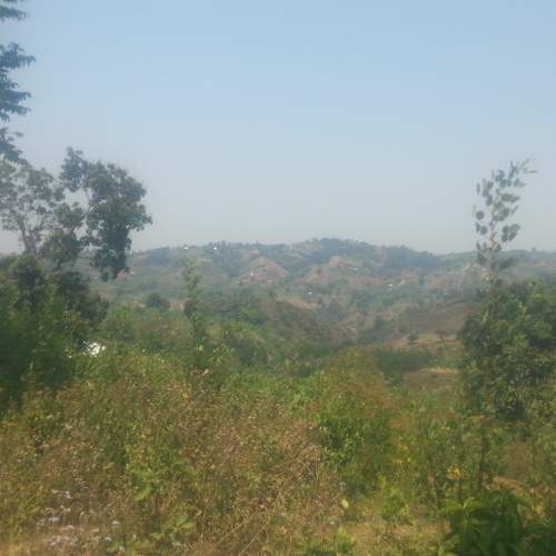 Photo #6744338