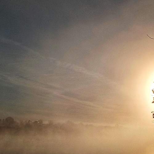 Photo #6744470