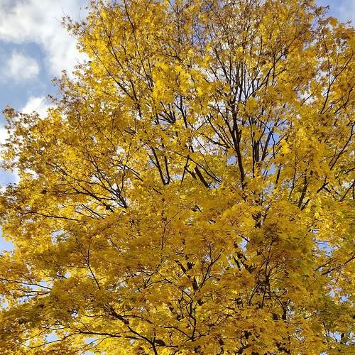 Photo #6744616