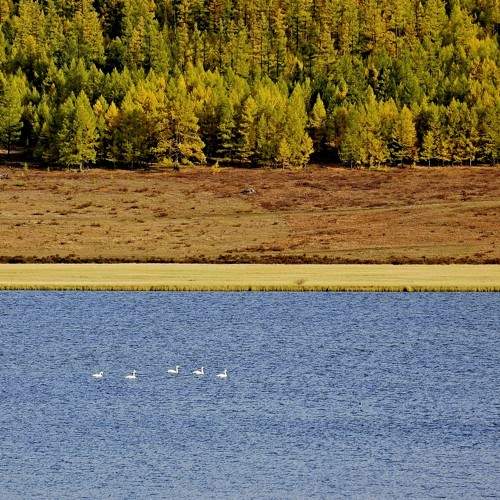 Photo #6744863