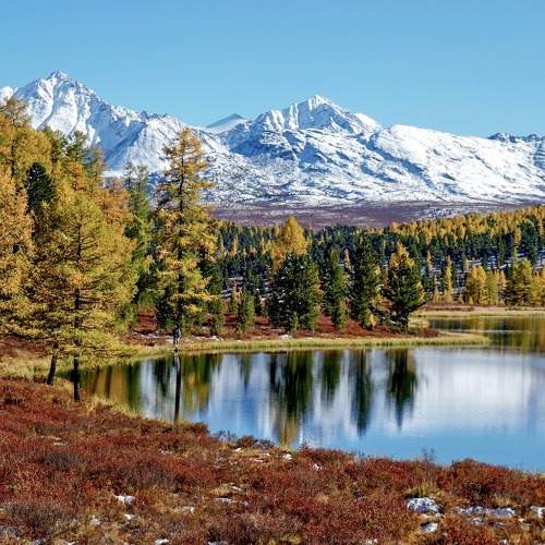Photo #6744988