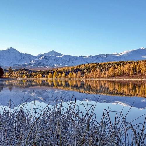 Photo #6744989
