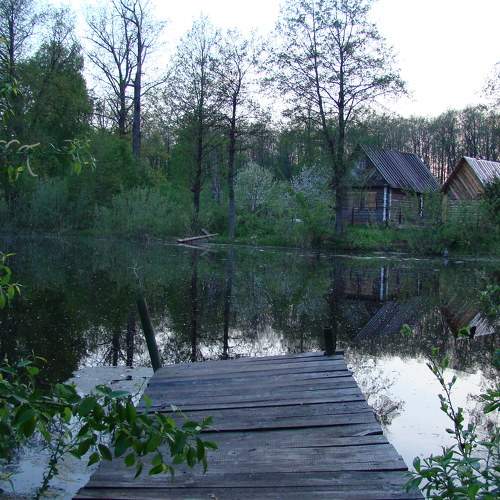 Photo #6745054