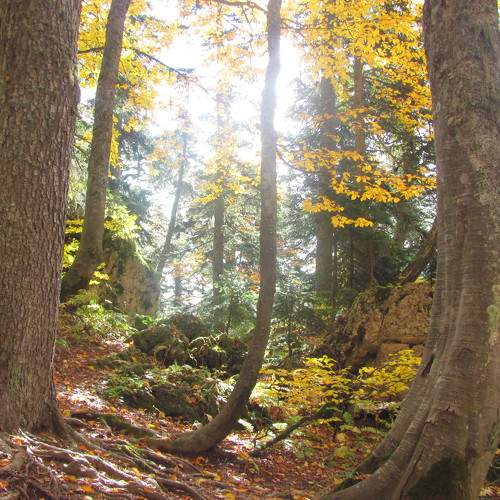 Photo #6745058