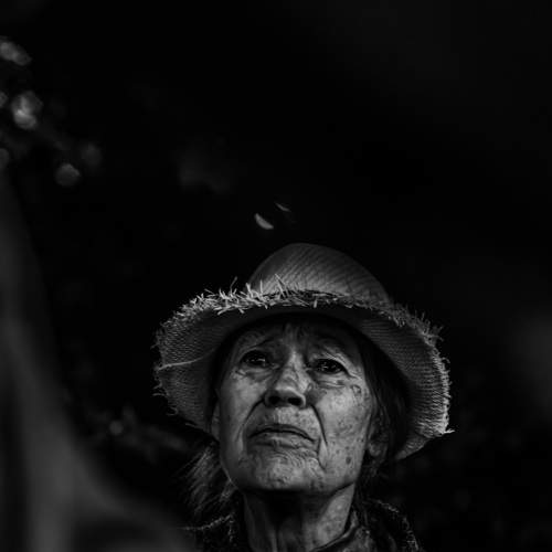 Photo #6745099