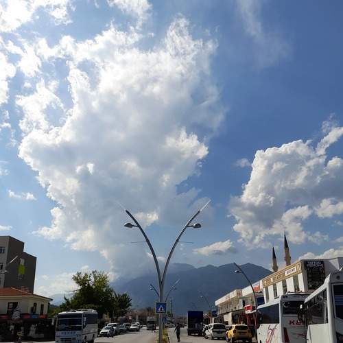 Photo #6745230