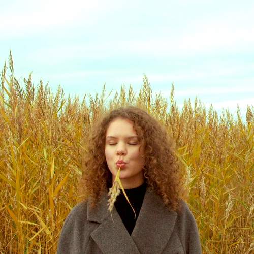 Photo #6745494