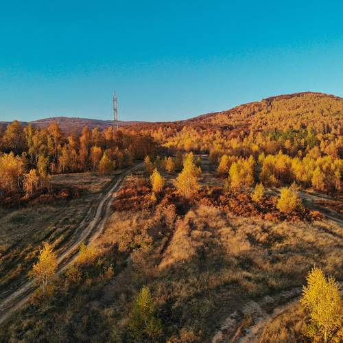 Photo #6745656