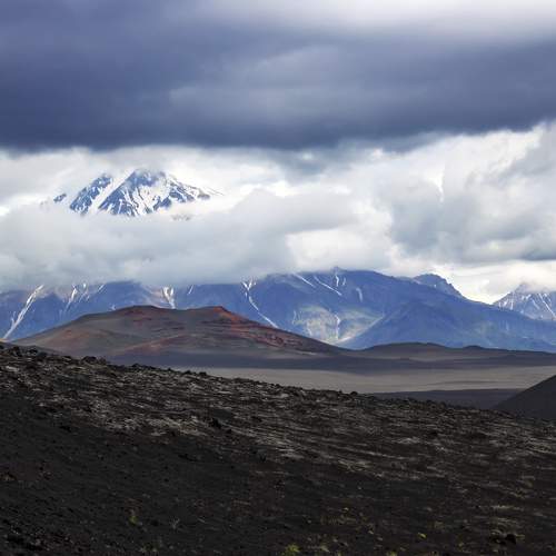 Photo #6746013
