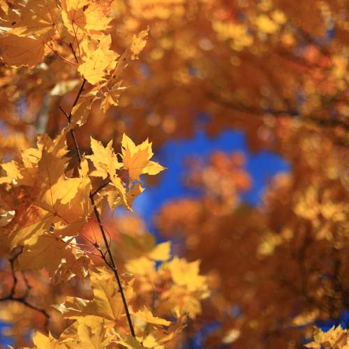 Photo #6746033