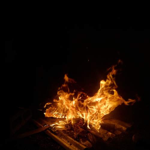 Photo #6746152