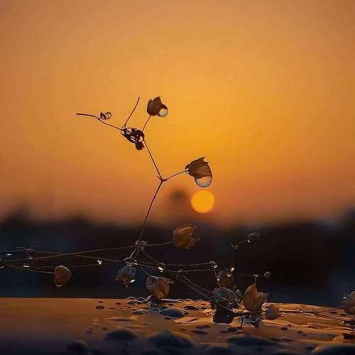 Photo #6746160