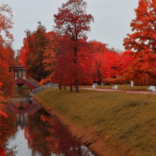 Photo #6746337