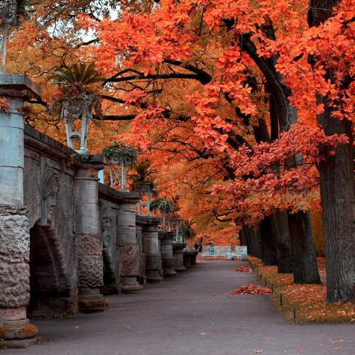 Photo #6746345