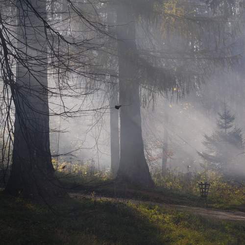 Photo #6746402