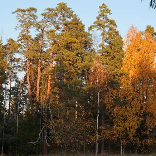 Photo #6746542