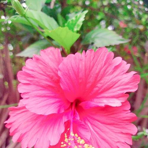 Photo #6747395