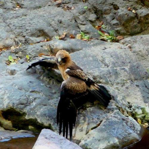 Photo #6747792