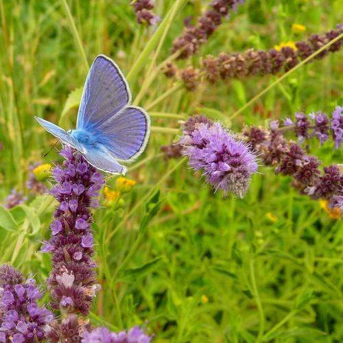 Photo #6747797