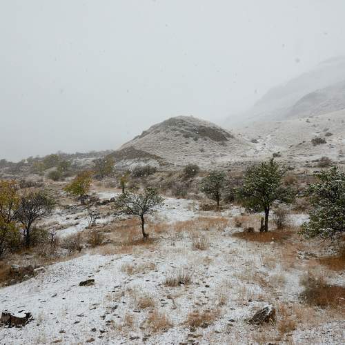 Photo #6748272