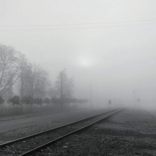 Photo #6748308