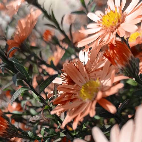 Photo #6748410