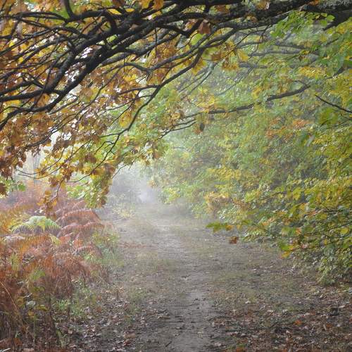 Photo #6748594