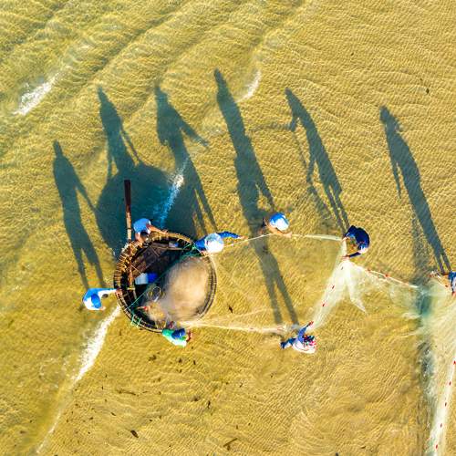 Photo #6748801