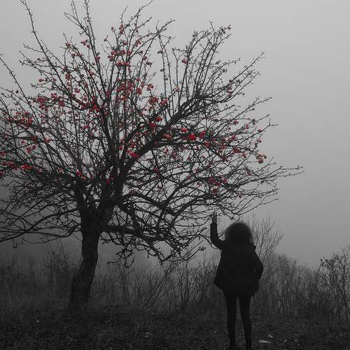 Photo #6748821