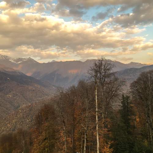 Photo #6748827