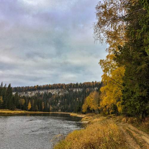 Photo #6748856