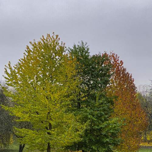 Photo #6748864