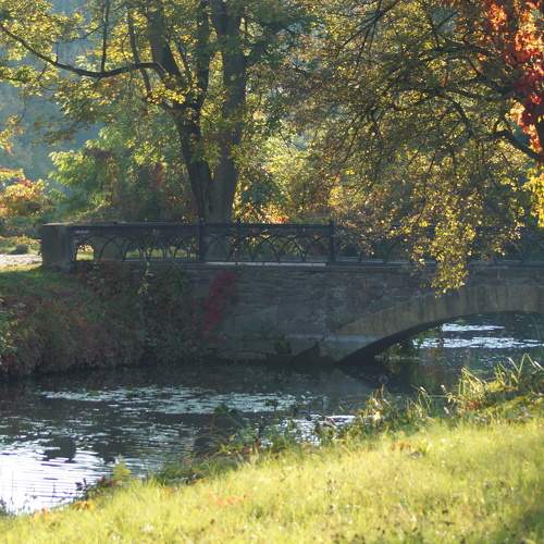 Photo #6748895