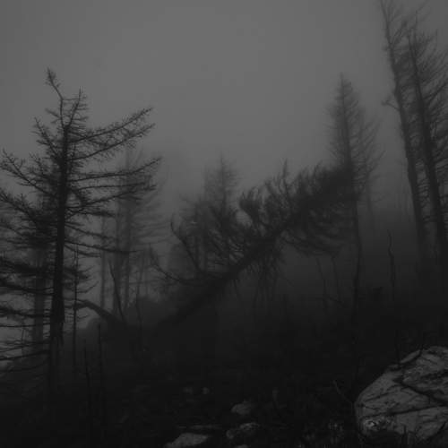 Фотография #6748927