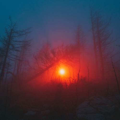 Фотография #6748929