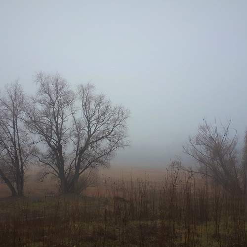 Photo #6749147