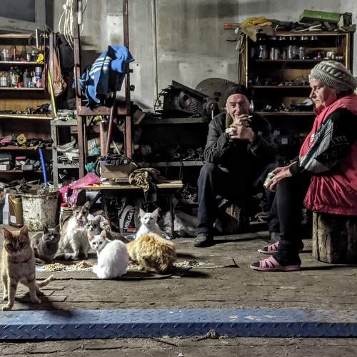 Photo #6749319