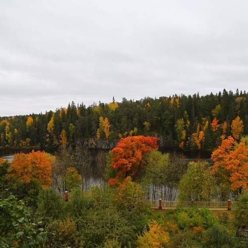 Photo #6749443