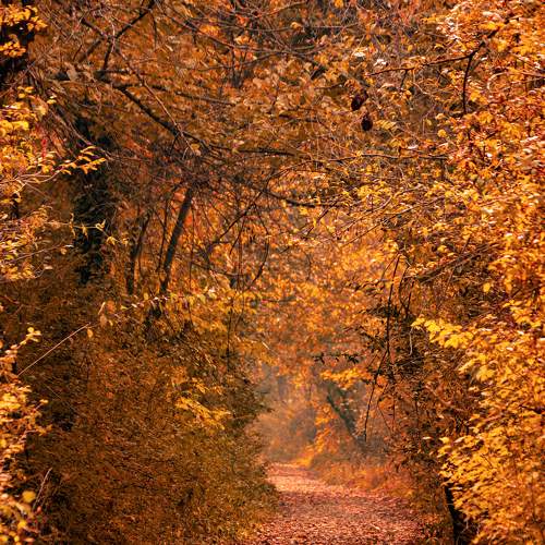 Photo #6749682