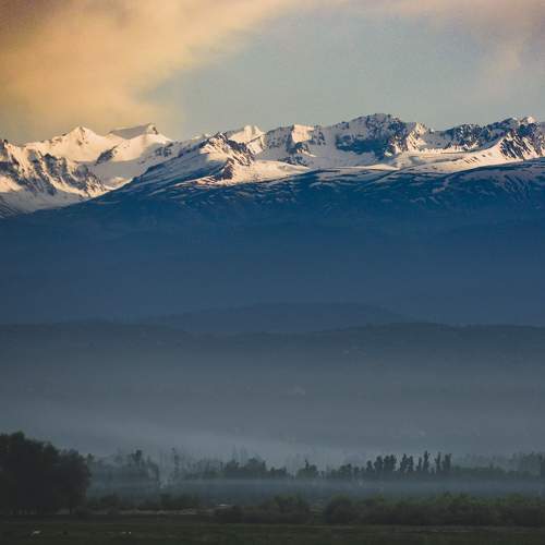 Photo #6749710