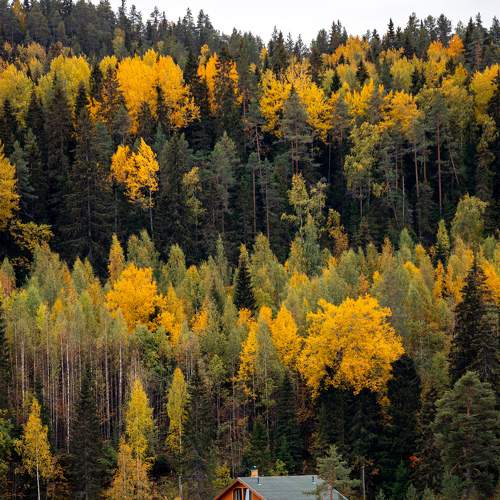 Photo #6750419