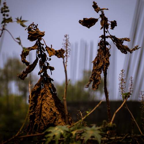 Photo #6751228
