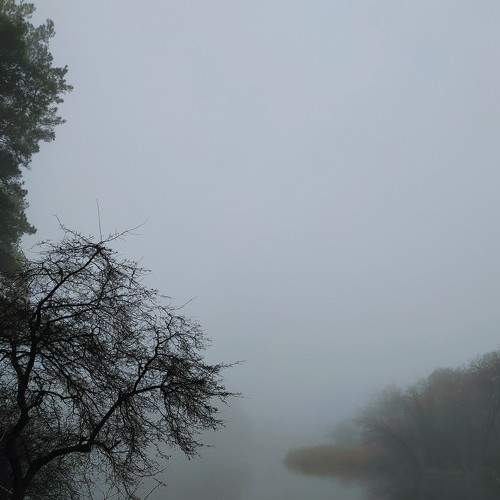 Photo #6751266