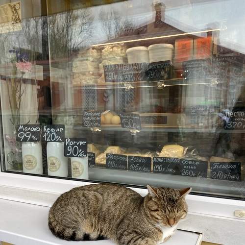 Photo #6751356