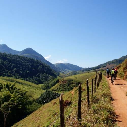 Photo #6751433