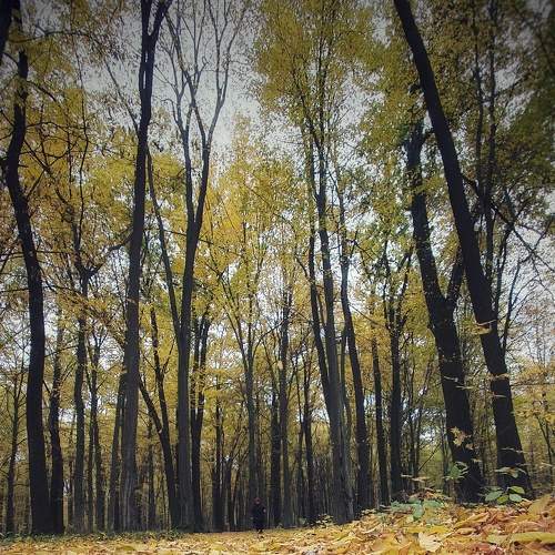 Photo #6751485